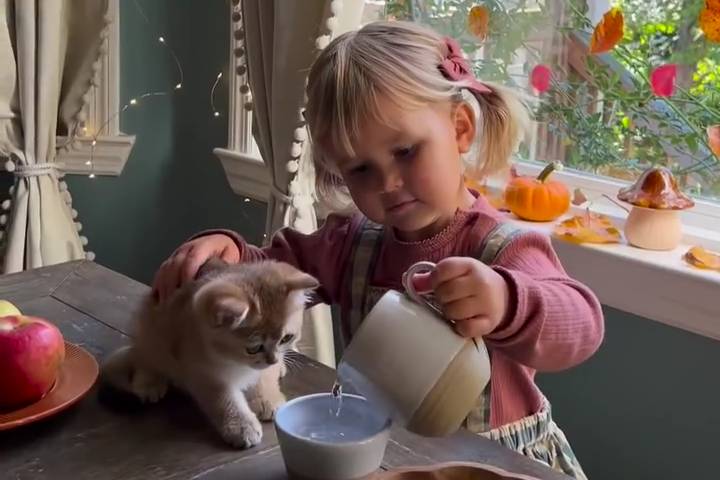 Tình Bạn Diệu Kỳ Giữa Một Cô Bé Và Một Chú Mèo Con